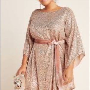 Anthropologie Starling sequin tunic